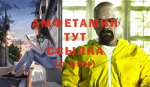 сатива Бородино